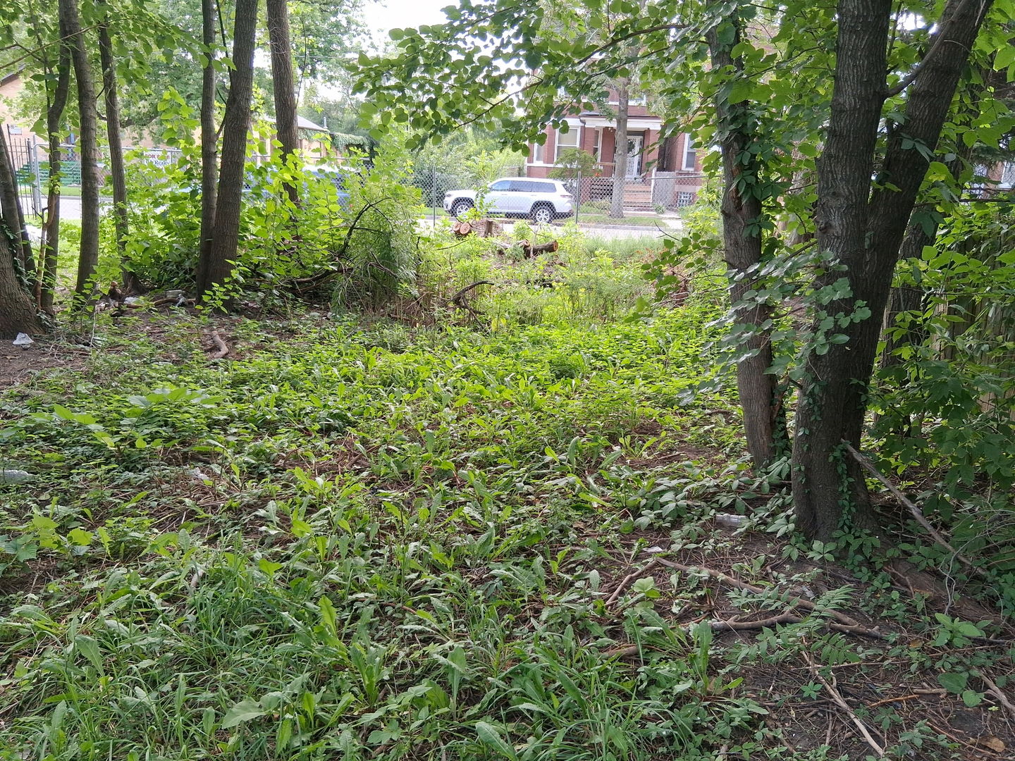 a backyard of a building with trees in the background