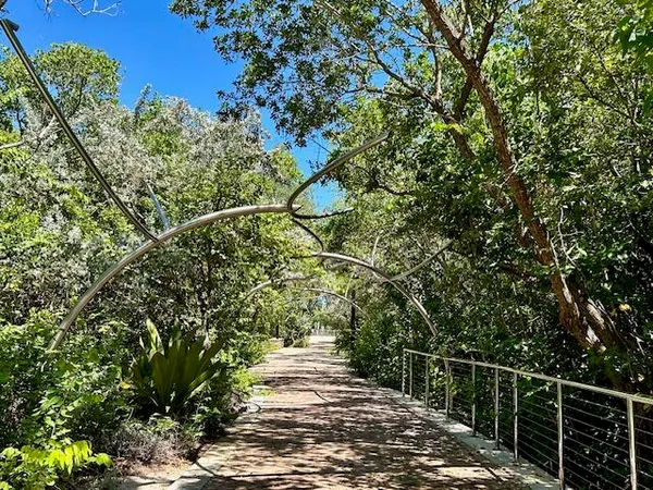 a view of a terrace with trees