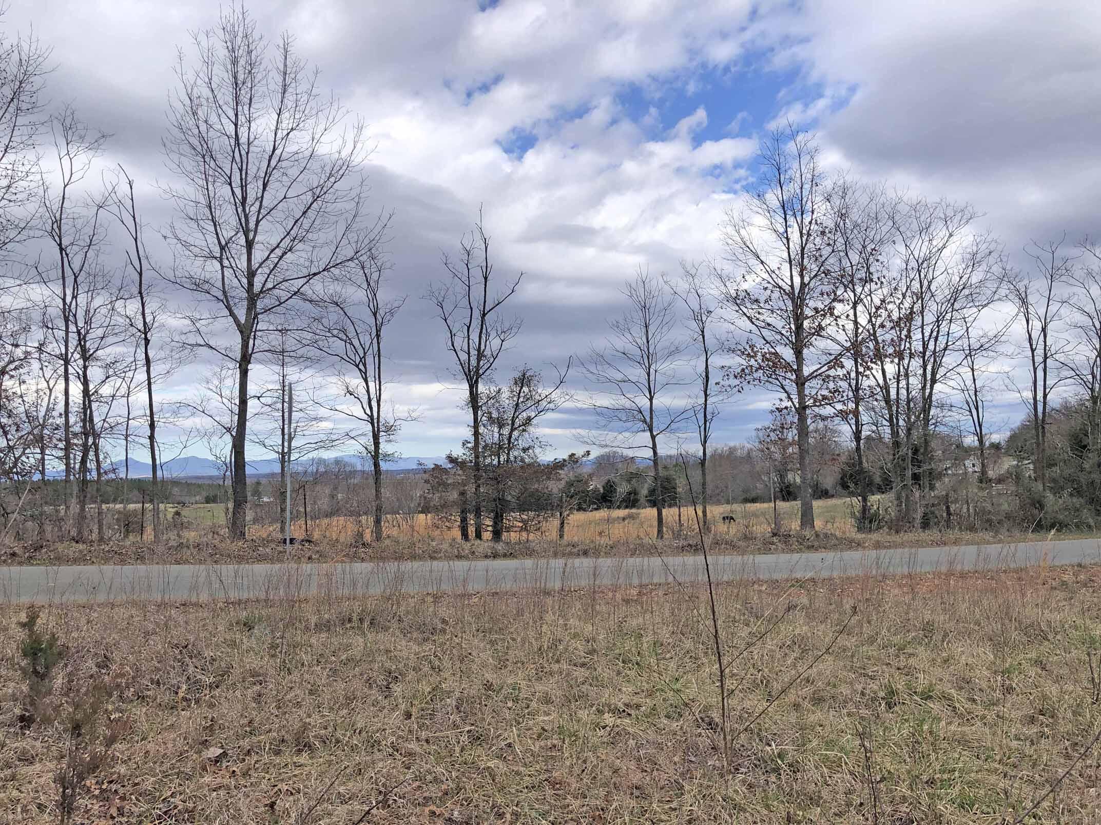 Lot 24 Roach Road Huddleston, VA 24104 - Photo 6 of 10 6