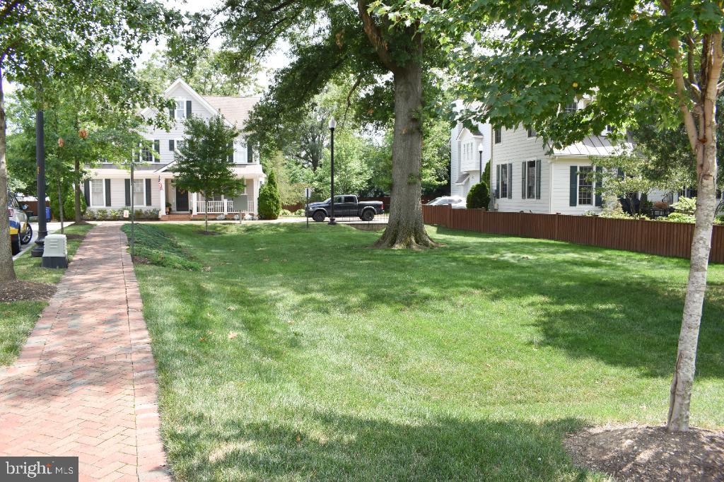 1300 South Glebe Road Arlington, VA 22204 - Photo 56 of 56