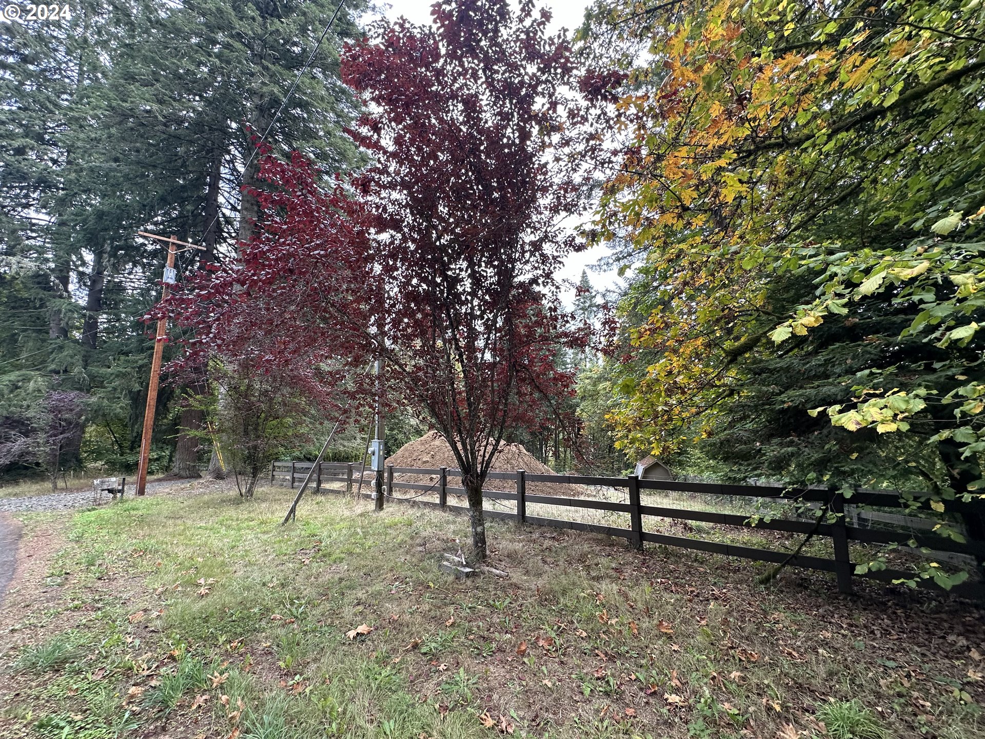 18700 Northwest Logie Trail Road Portland, OR 97231 - Photo 3 of 14 a view of a yard with a tree