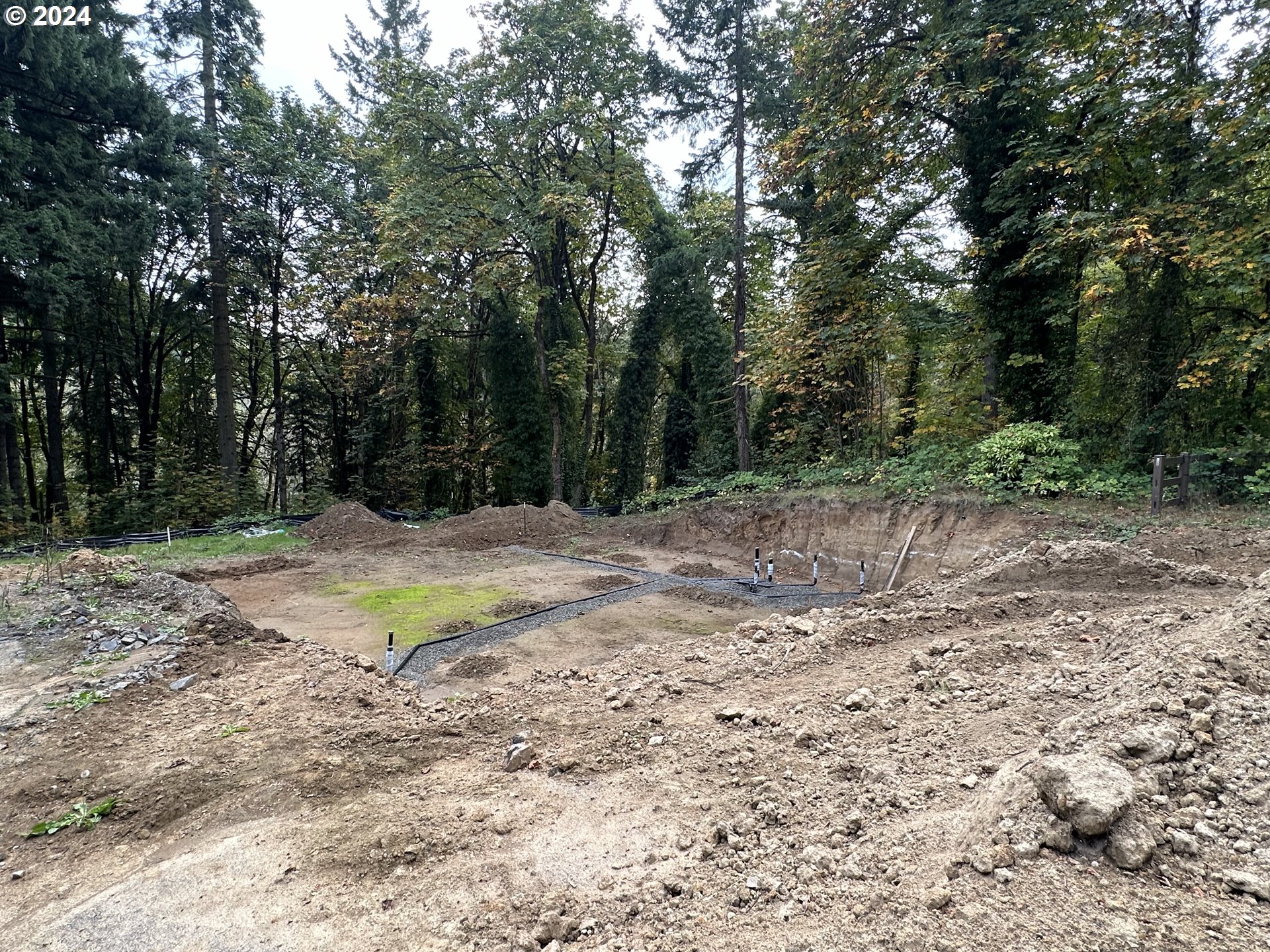 18700 Northwest Logie Trail Road Portland, OR 97231 - Photo 6 of 14 a view of a yard with trees