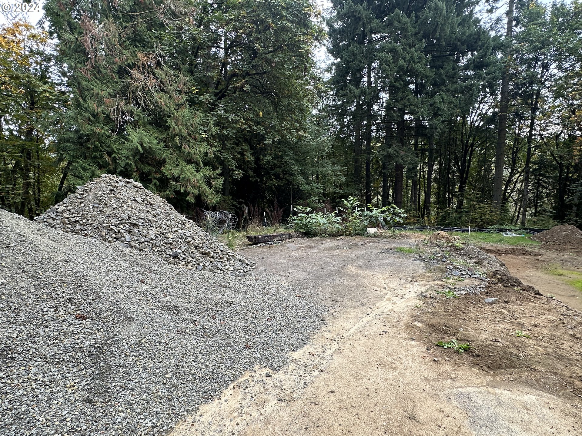 18700 Northwest Logie Trail Road Portland, OR 97231 - Photo 7 of 14 a view of outdoor space with trees