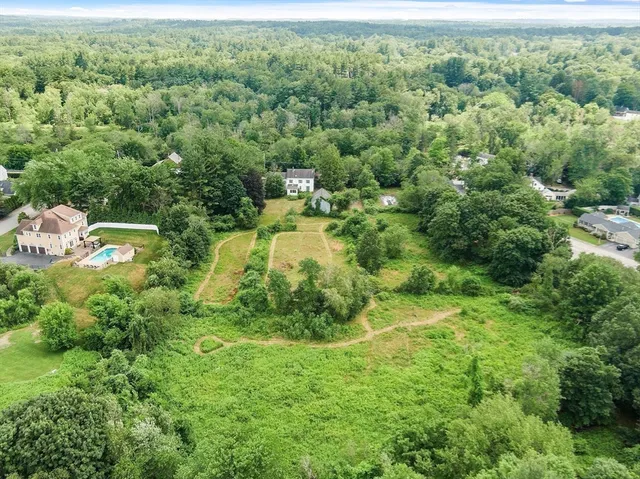 a view of a green yard with large trees