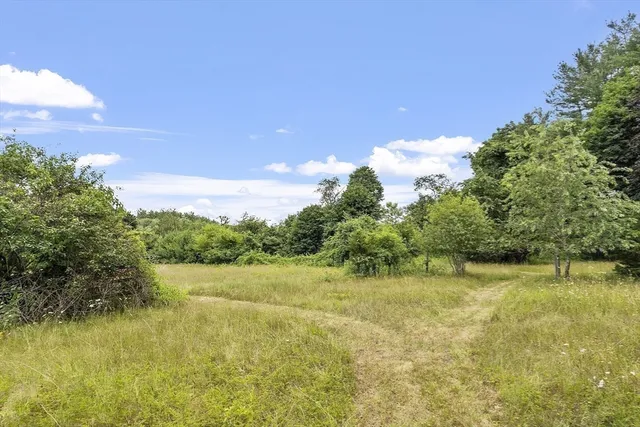 a view of a lake with a yard
