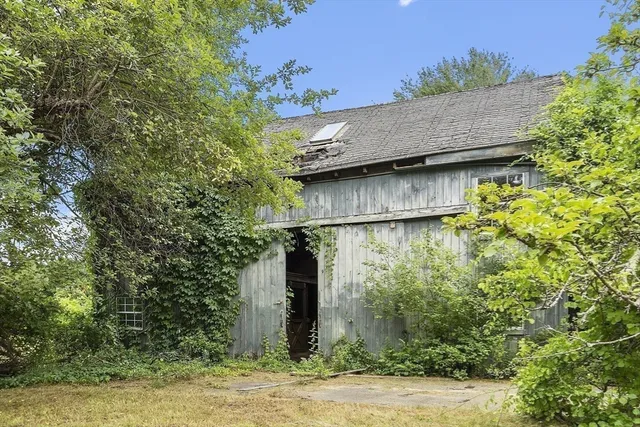 a green field with trees in the background