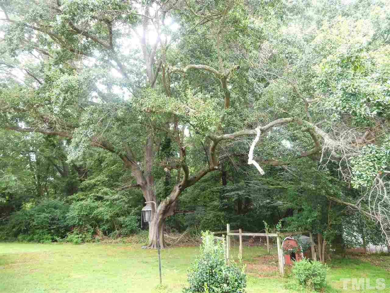 806 Cook Road Durham, NC 27713 - Photo 8 of 10 Imagine napping or the youngsters playing under this wonderful shade tree.
