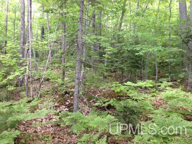 2 Bootjack Road, Unit PRINCESS POINT AREA Lake Linden, MI 49945 - Photo 12 of 20