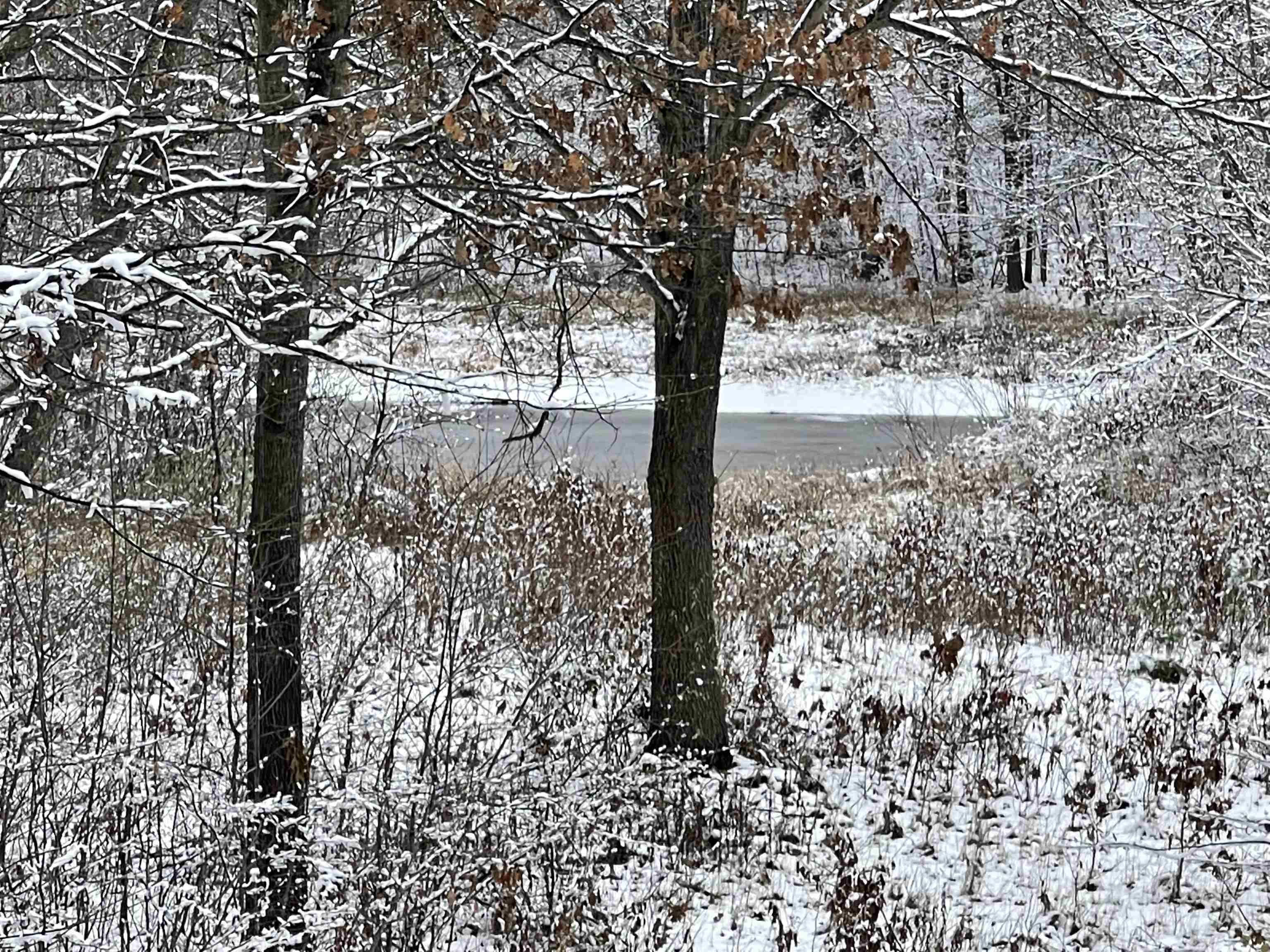 7454 West Maple Grove Road Lake, MI 48632 - Photo 3 of 30 1906739-2.JPG