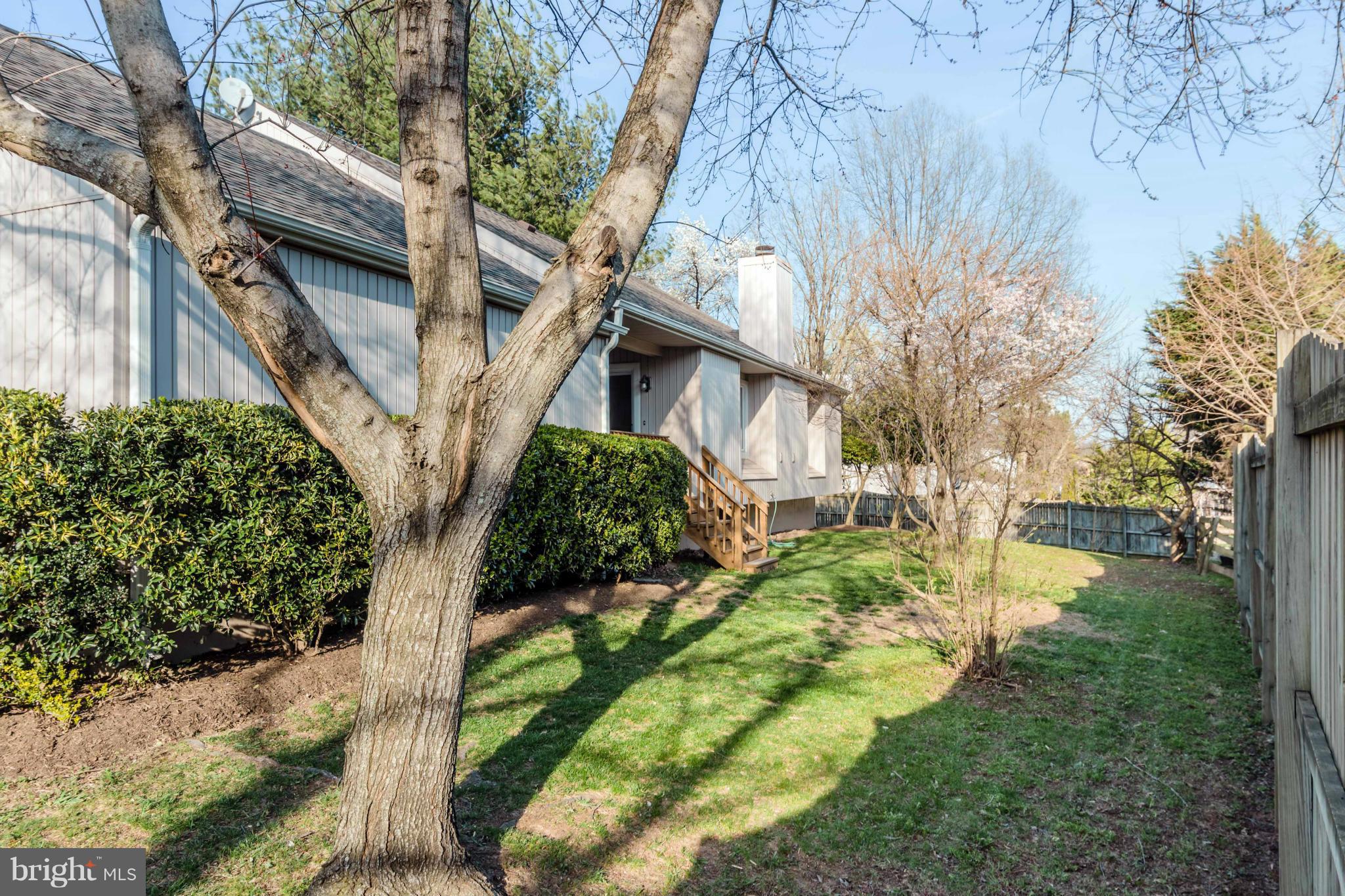 4413 Pleasant Valley Road Chantilly, VA 20151 - Photo 3 of 30 YARD 1