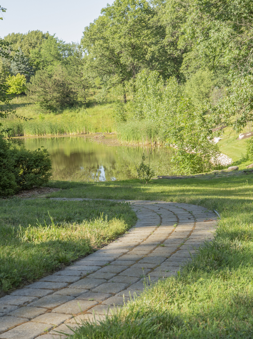 8857 Johnston Road Burr Ridge, IL 60527 - Photo 42 of 47 a view of a lake