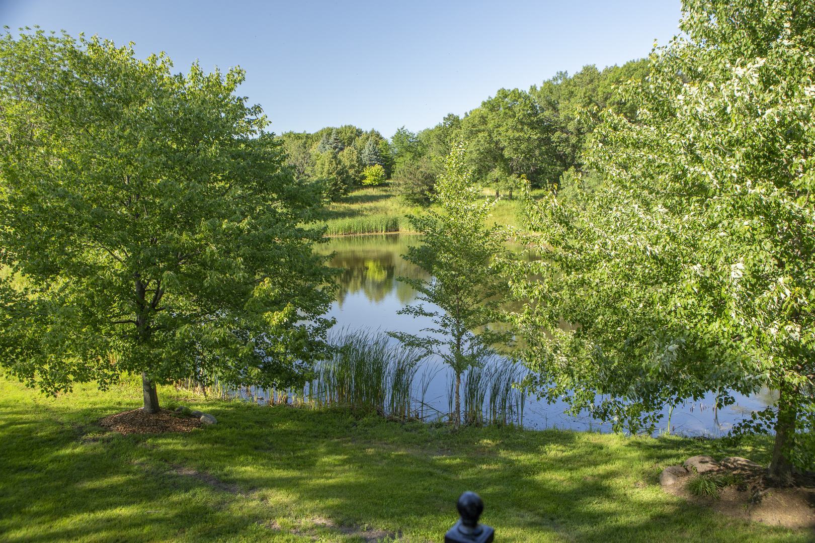 8857 Johnston Road Burr Ridge, IL 60527 - Photo 43 of 47 a view of a garden