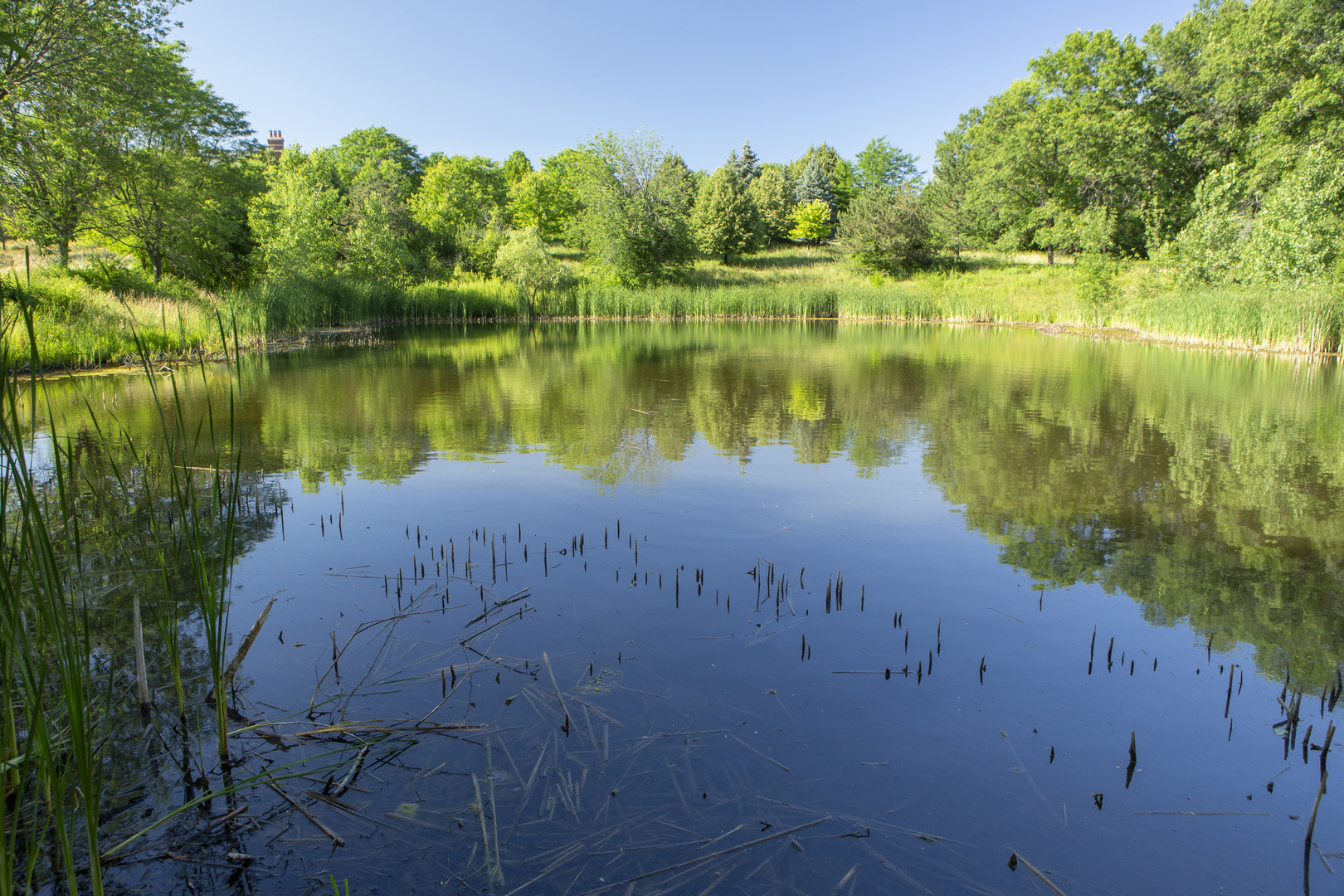 8857 Johnston Road Burr Ridge, IL 60527 - Photo 44 of 47 a view of a lake with houses in the back