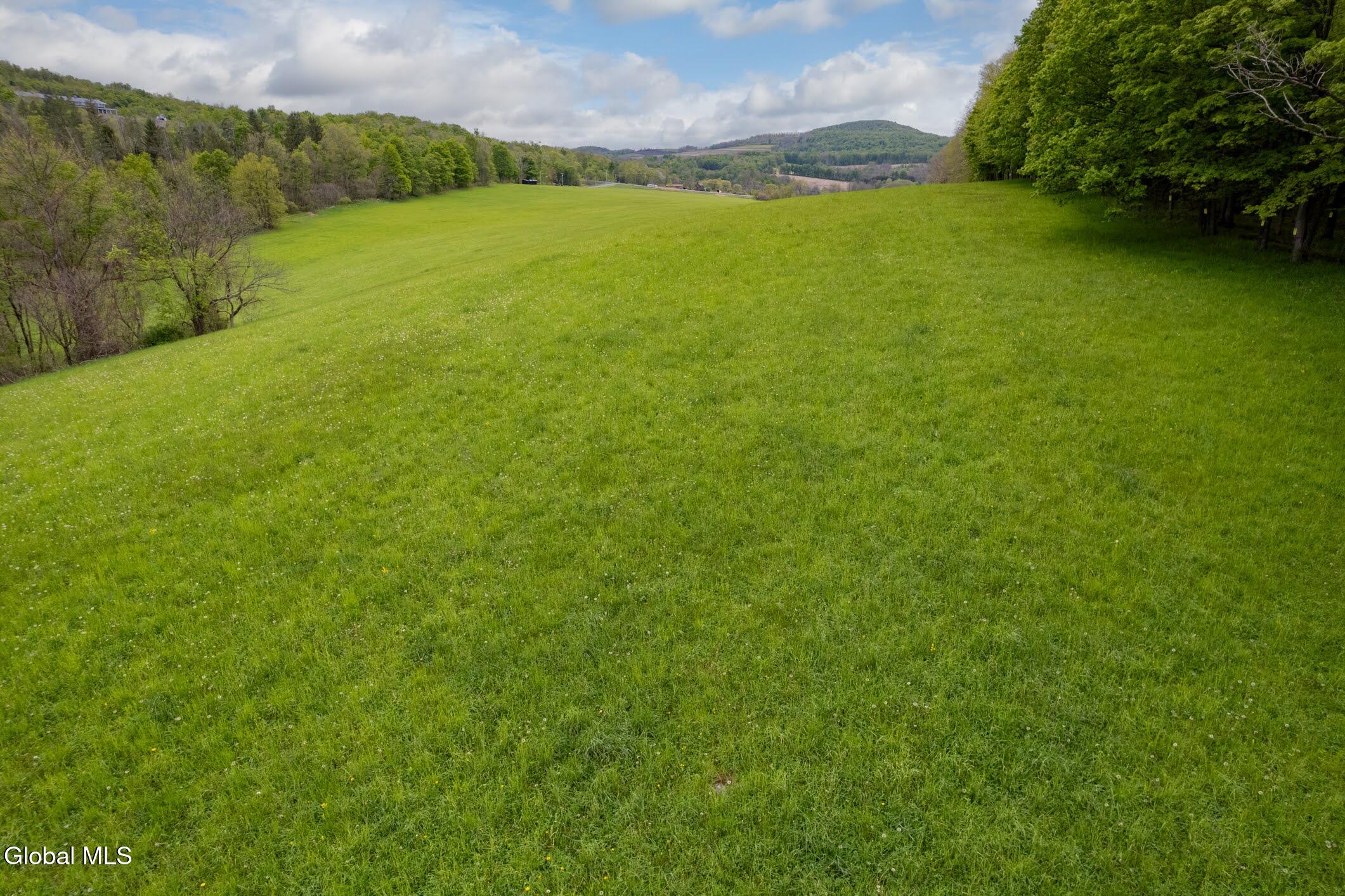 229 Scofield Road Sharon Springs, NY 13459 - Photo 2 of 17 11-229 Scofield