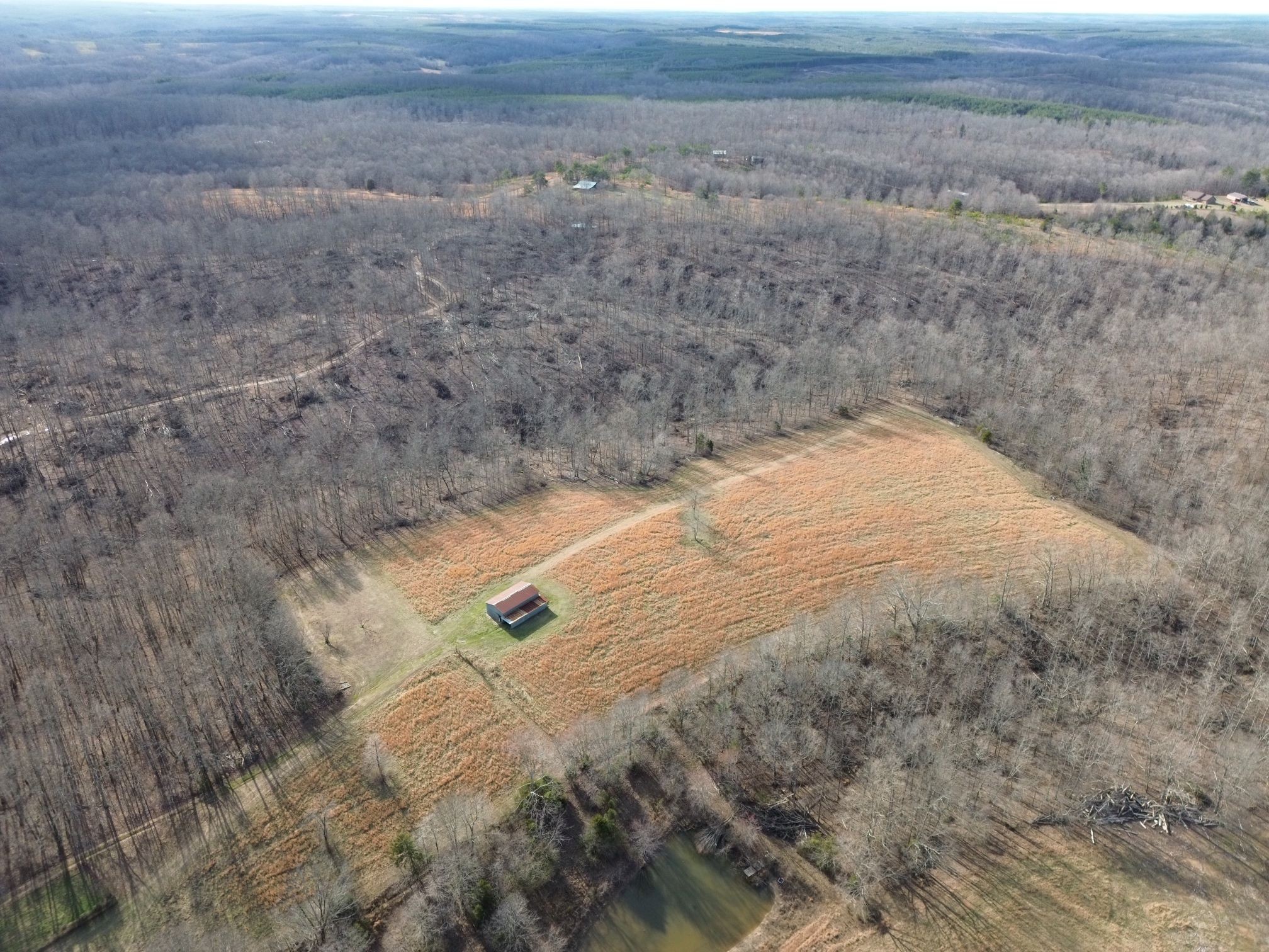 5500 Fortyeight Creek Road Waynesboro, TN 38485 - Photo 2 of 13