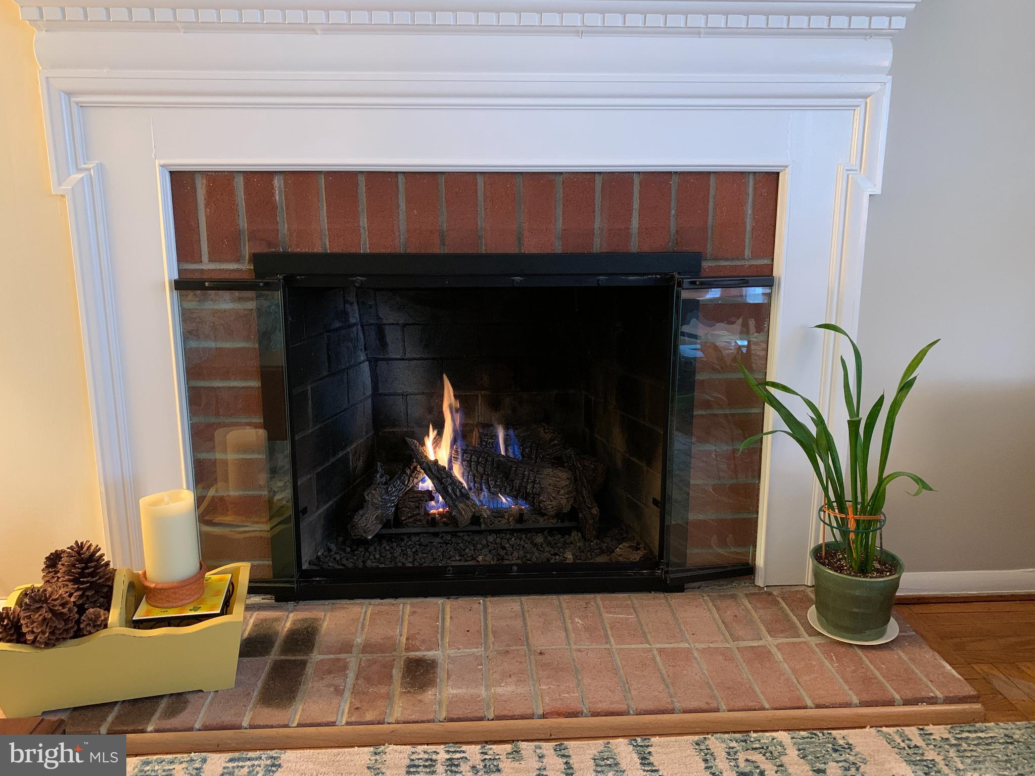 147 Harned Road Springfield, PA 19064 - Photo 11 of 56 Warm Gas Fireplace