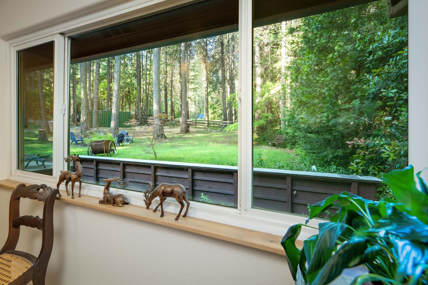 15188 North Bloomfield Road Nevada City, CA 95959 - Photo 29 of 73