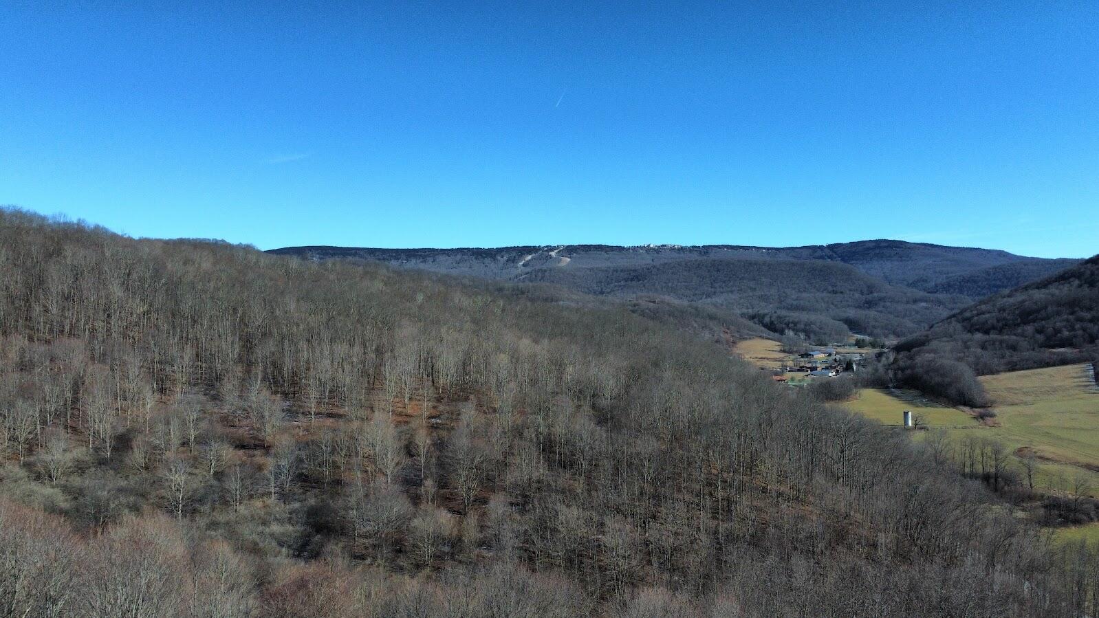 27 Acres Big Spring Slatyfork, WV 26291 - Photo 13 of 22 View of Snowshoe
