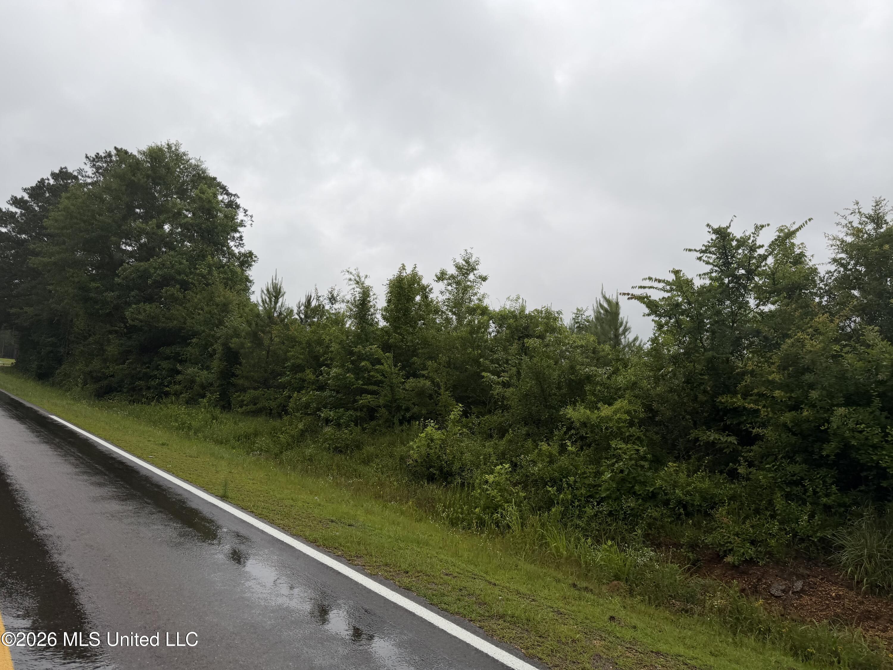 North River Road North Ruth, MS 39662 - Photo 6 of 13 IMG_7299