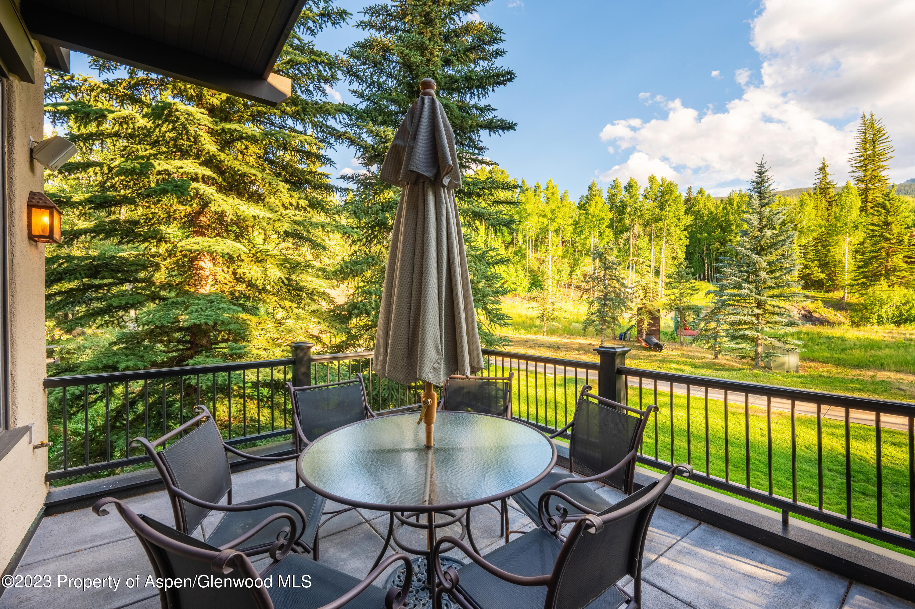 507 Streamside Court Snowmass Village, CO 81615 - Photo 8 of 30 Photo26