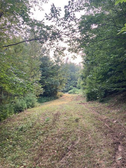 0 Strackville Road Schuyler Falls, NY 12985 - Photo 2 of 6 IMG_2900