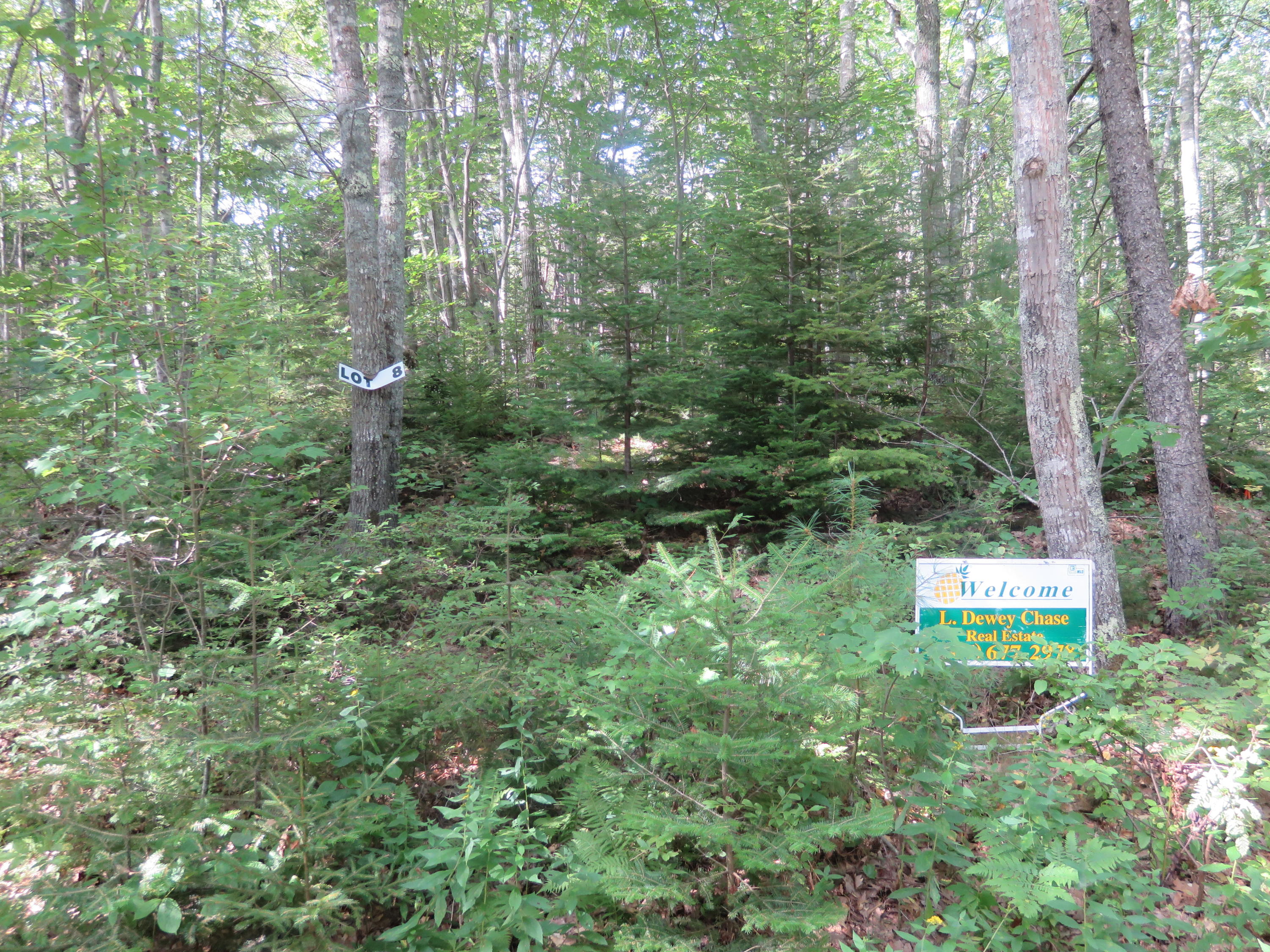 8 Spring Hill Loop Bristol, ME 04541 - Photo 1 of 2 90E88568-F40E-406B-8125-7EB939250EA9