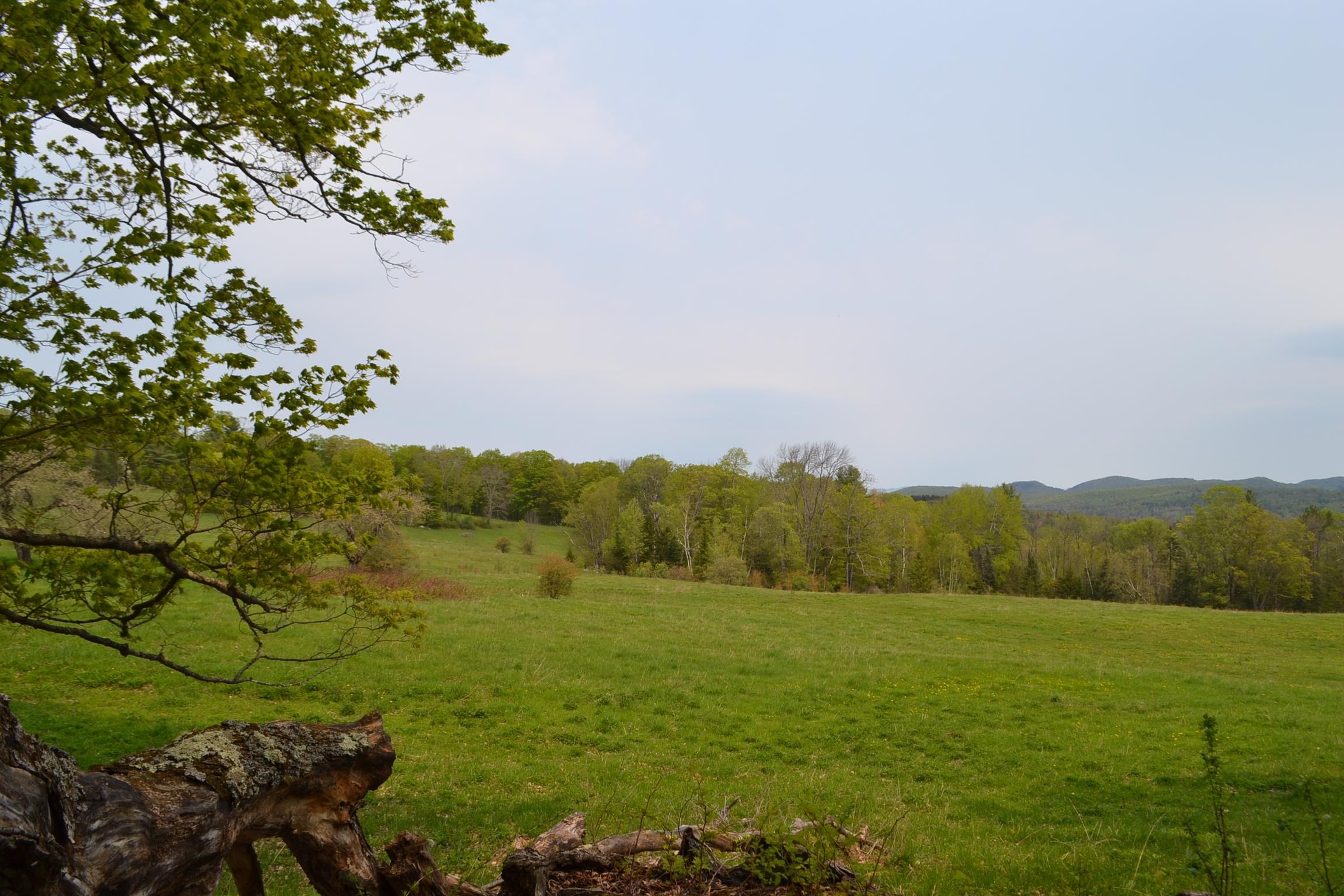 0 Blodgett Road Marshfield, VT 05658 - Photo 2 of 5