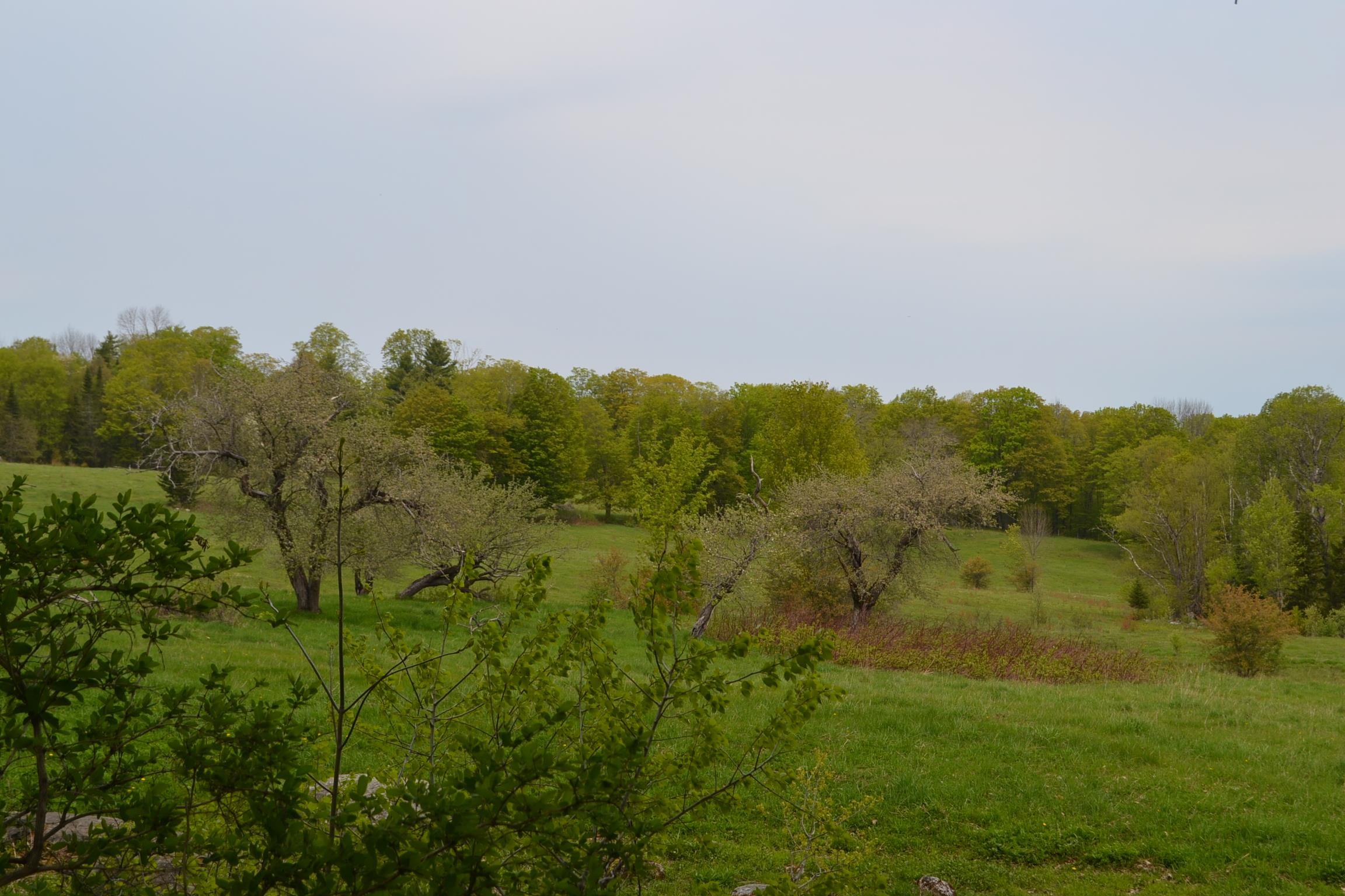 0 Blodgett Road Marshfield, VT 05658 - Photo 3 of 5