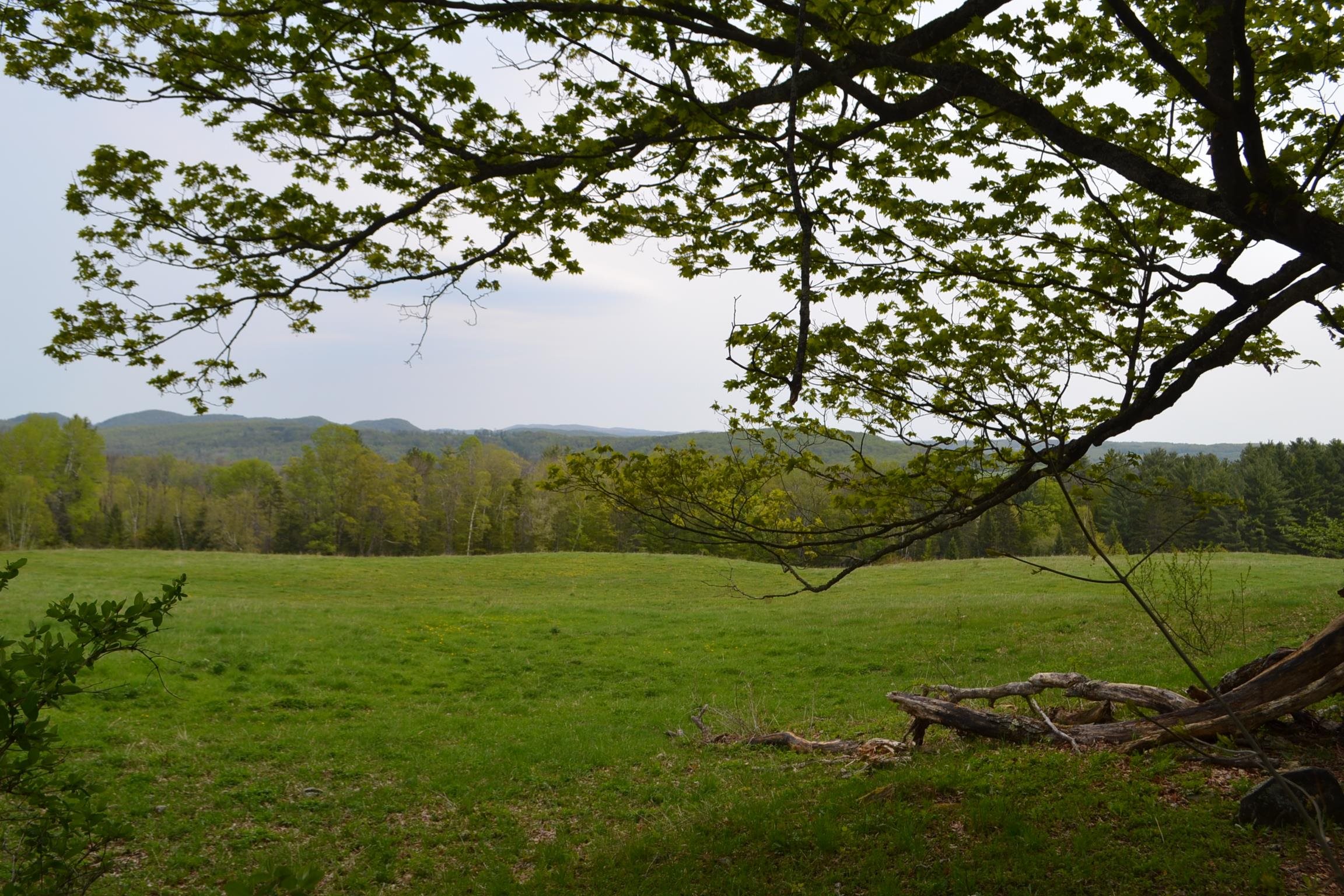0 Blodgett Road Marshfield, VT 05658 - Photo 4 of 5
