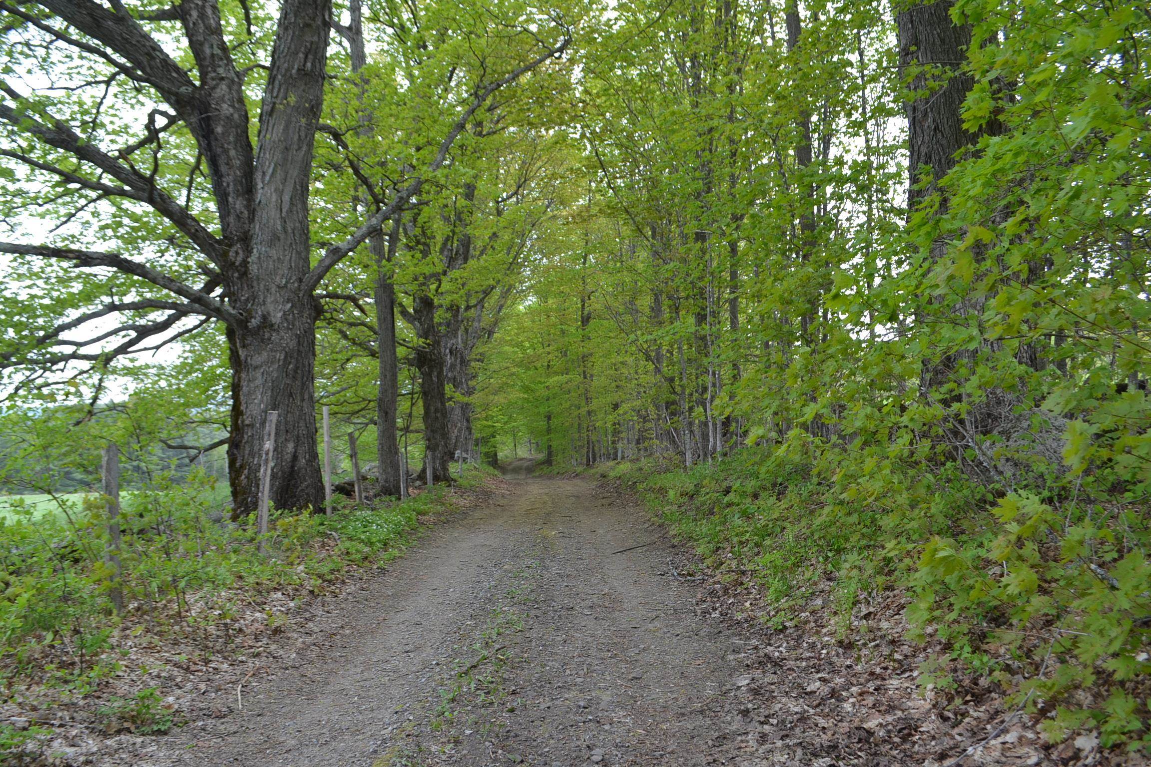 0 Blodgett Road Marshfield, VT 05658 - Photo 5 of 5
