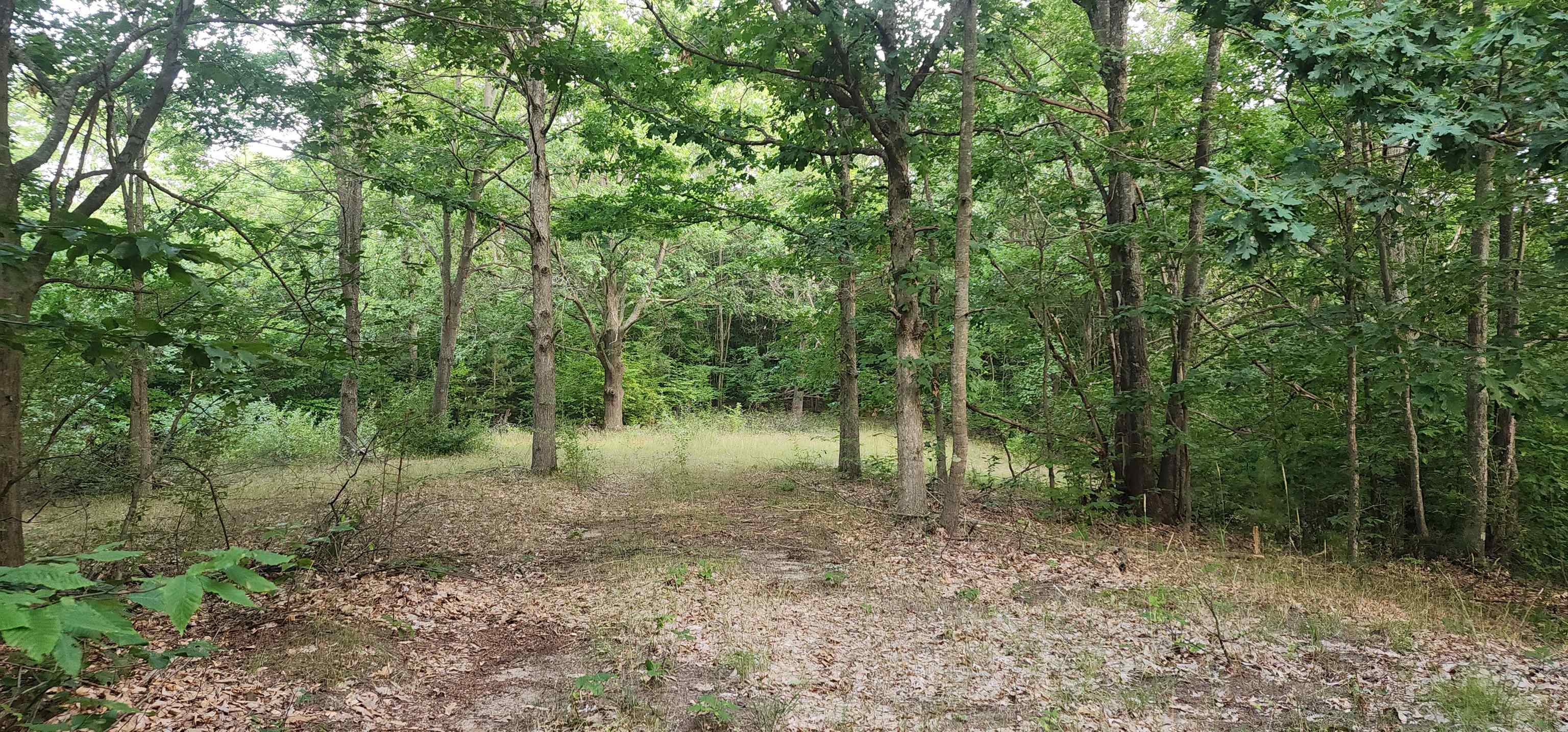 0 West Phelps Road Manton, MI 49663 - Photo 9 of 12