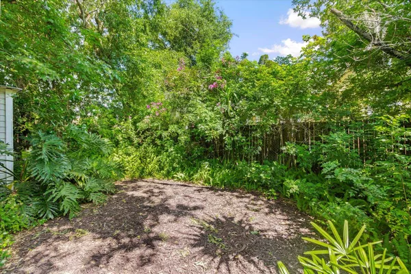 a view of a yard with a tree