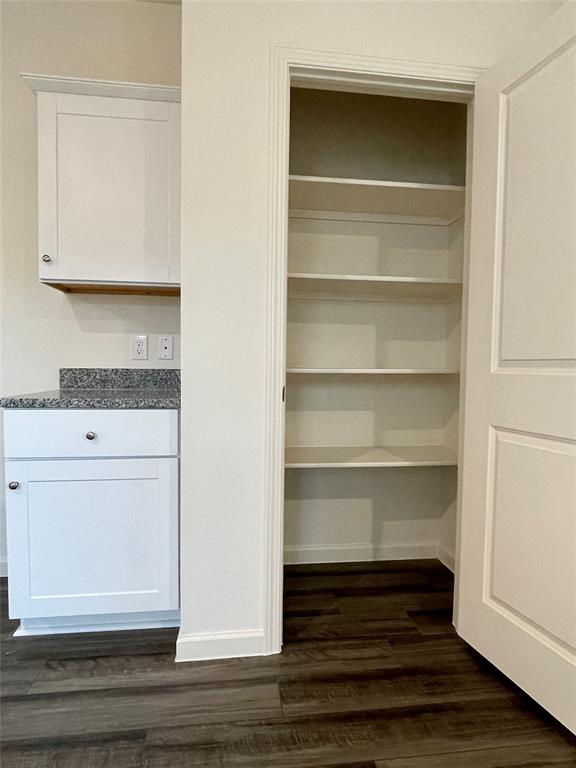 6222 Old Bridge Way Forney, TX 75126 - Photo 7 of 17 a view of walk in closet with empty racks