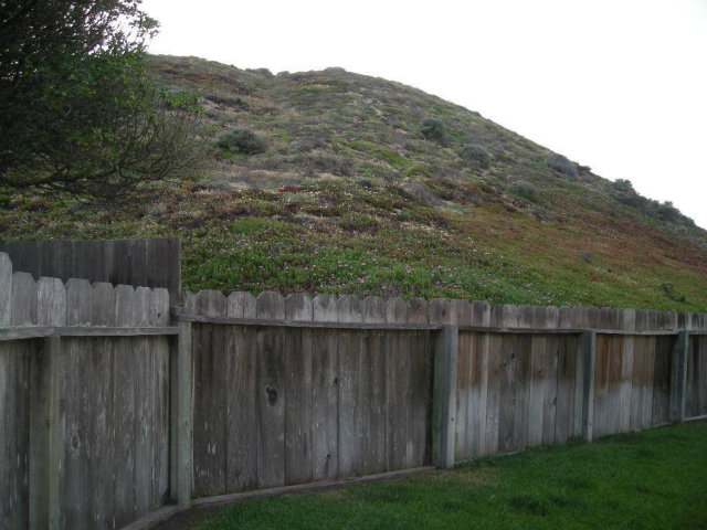 3083 Messinger Drive Marina, CA 93933 - Photo 7 of 18 a view of a backyard with wooden fence