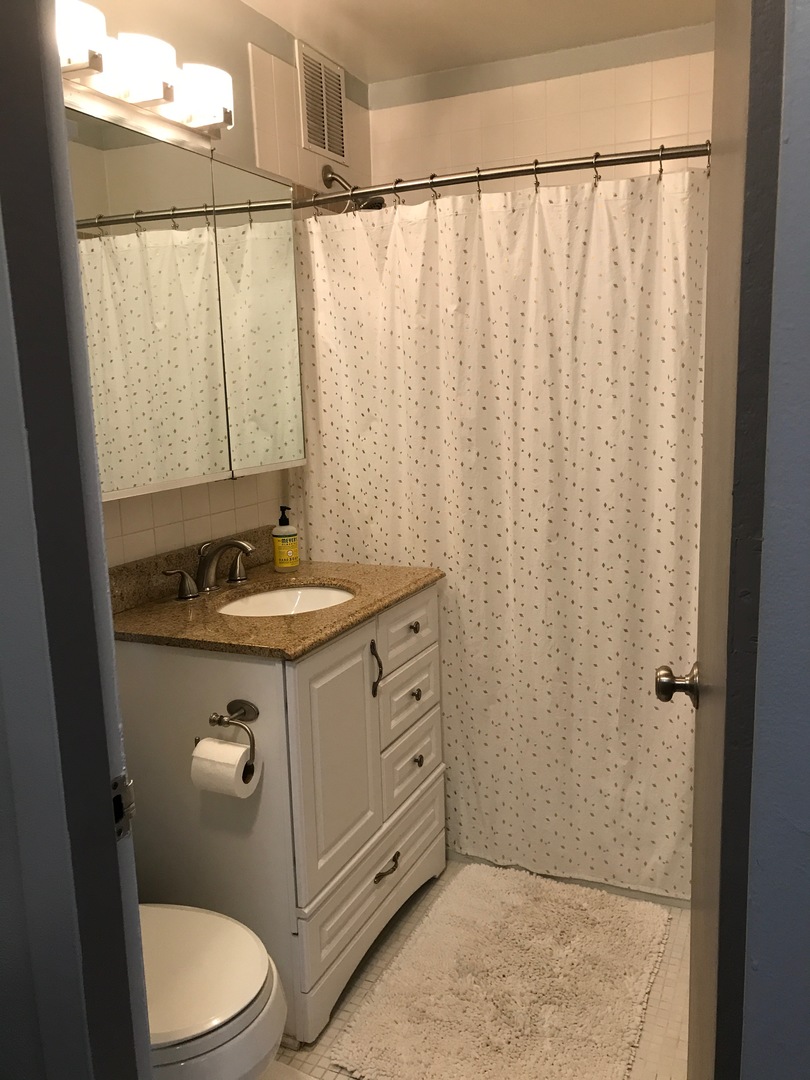 655 West Irving Park Road, Unit 2911 Chicago, IL 60613 - Photo 38 of 42 a bathroom with a granite countertop sink and a mirror