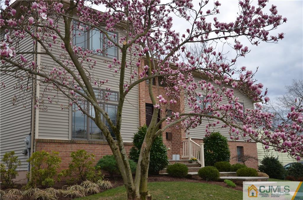 66 Hamlin Road Edison, NJ 08817 - Photo 2 of 25 Gallery Image 2
