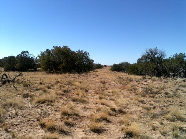 15 A Sec 19 T17n R27e Chambers, AZ 86502 - Photo 3 of 7