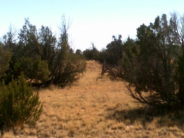 15 A Sec 19 T17n R27e Chambers, AZ 86502 - Photo 5 of 7