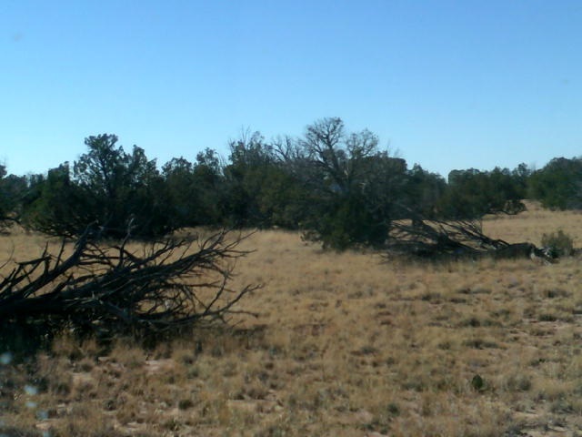 15 A Sec 19 T17n R27e Chambers, AZ 86502 - Photo 6 of 7