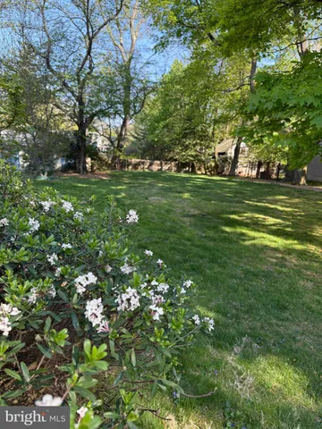 a green field with lots of trees