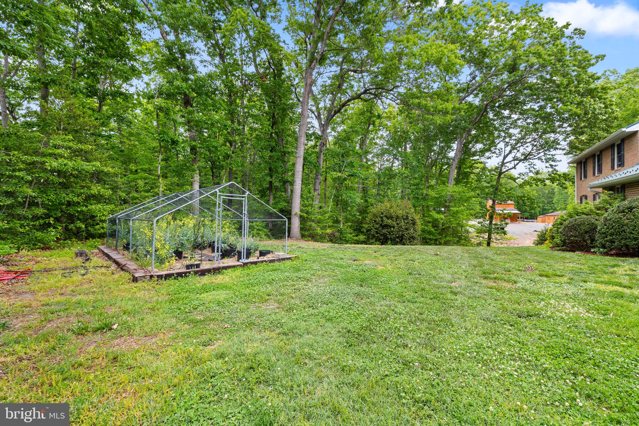 5099 Courtneys Corner Road Sumerduck, VA 22742 - Photo 23 of 52 Front yard