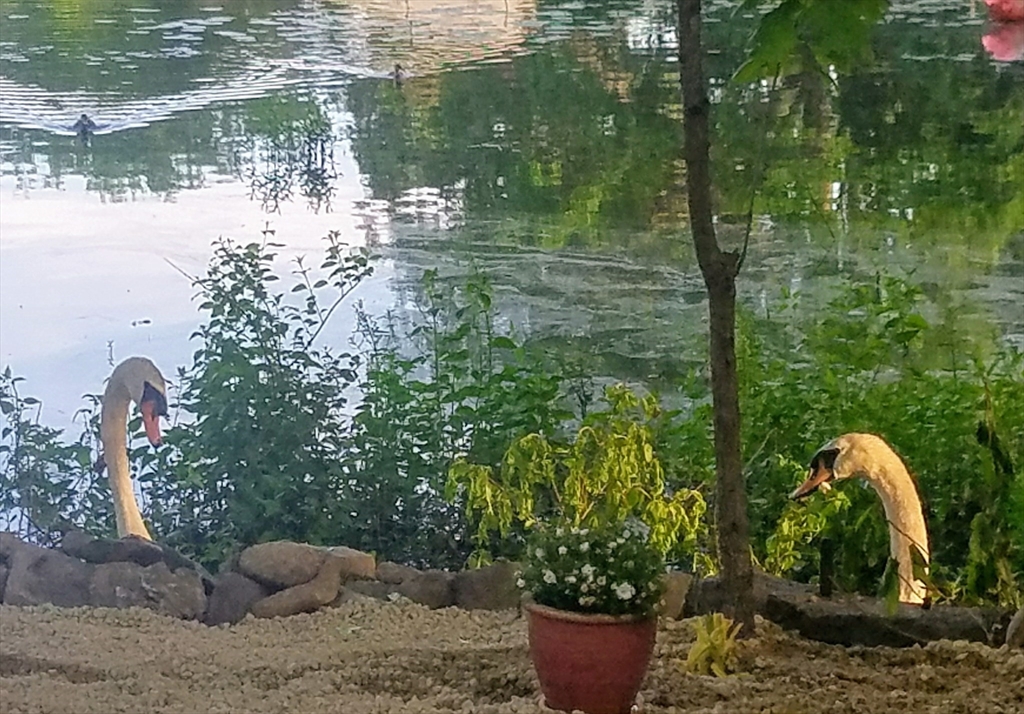 9 Oliver Road Weymouth, MA 02189 - Photo 35 of 41