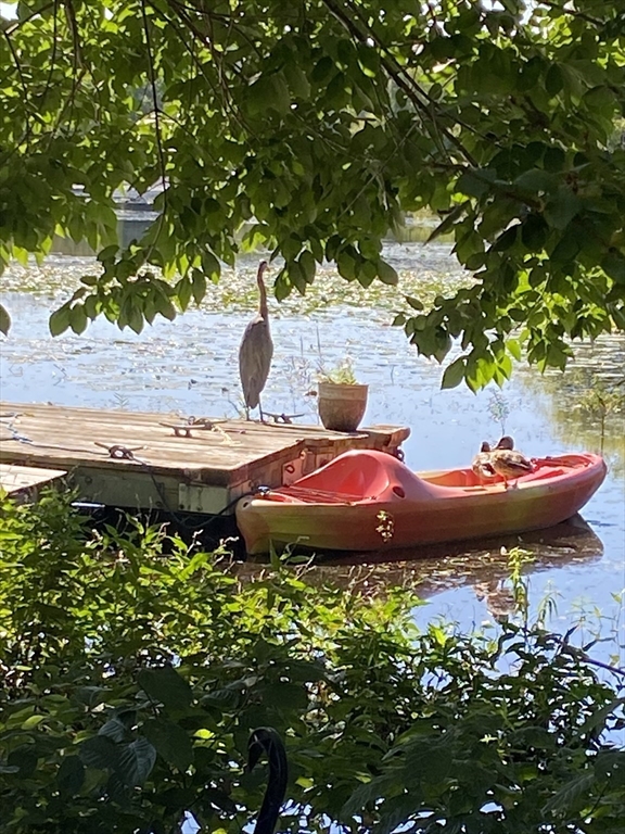 9 Oliver Road Weymouth, MA 02189 - Photo 40 of 41