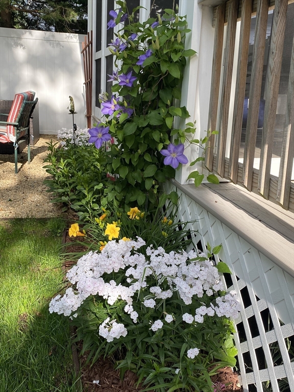 9 Oliver Road Weymouth, MA 02189 - Photo 41 of 41