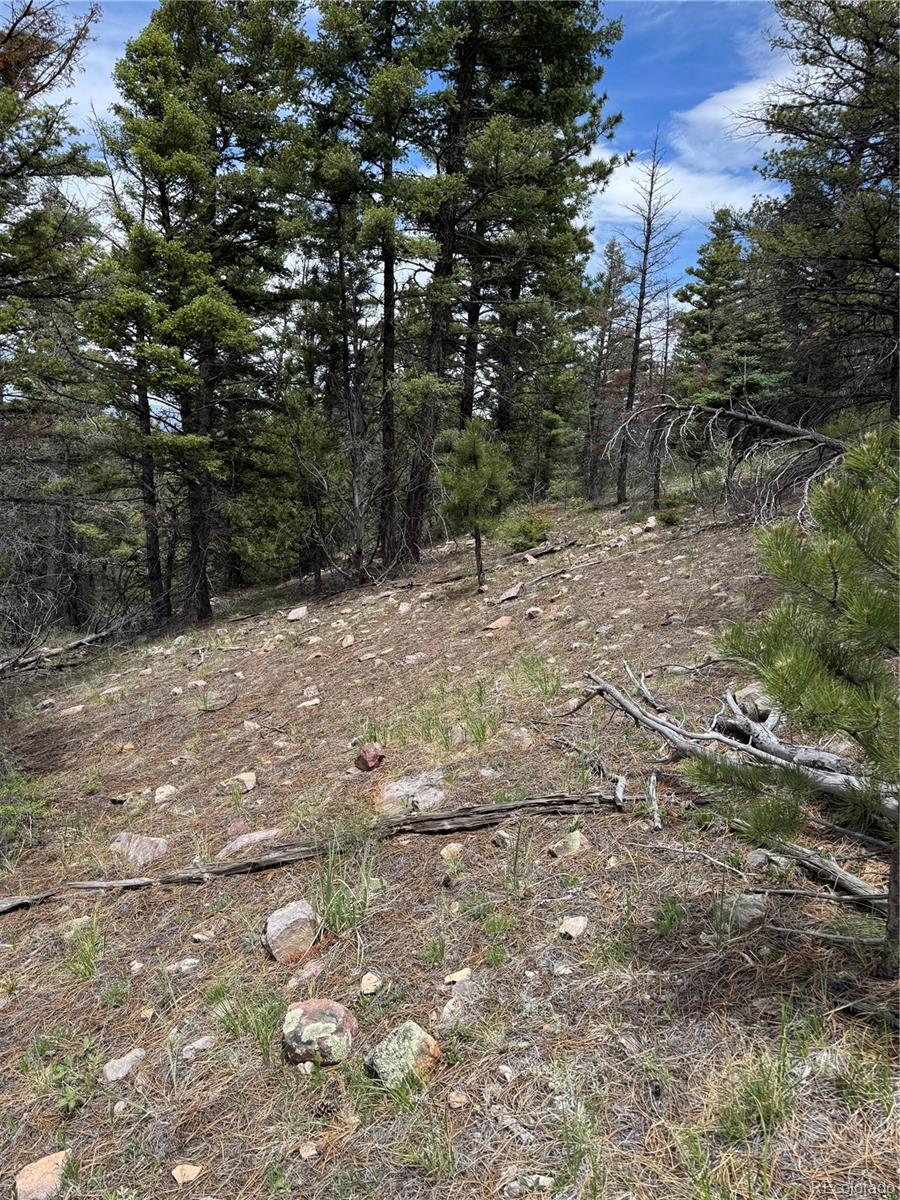 Knotty Pine Road Salida, CO 81201 - Photo 20 of 42 Gallery Image 20
