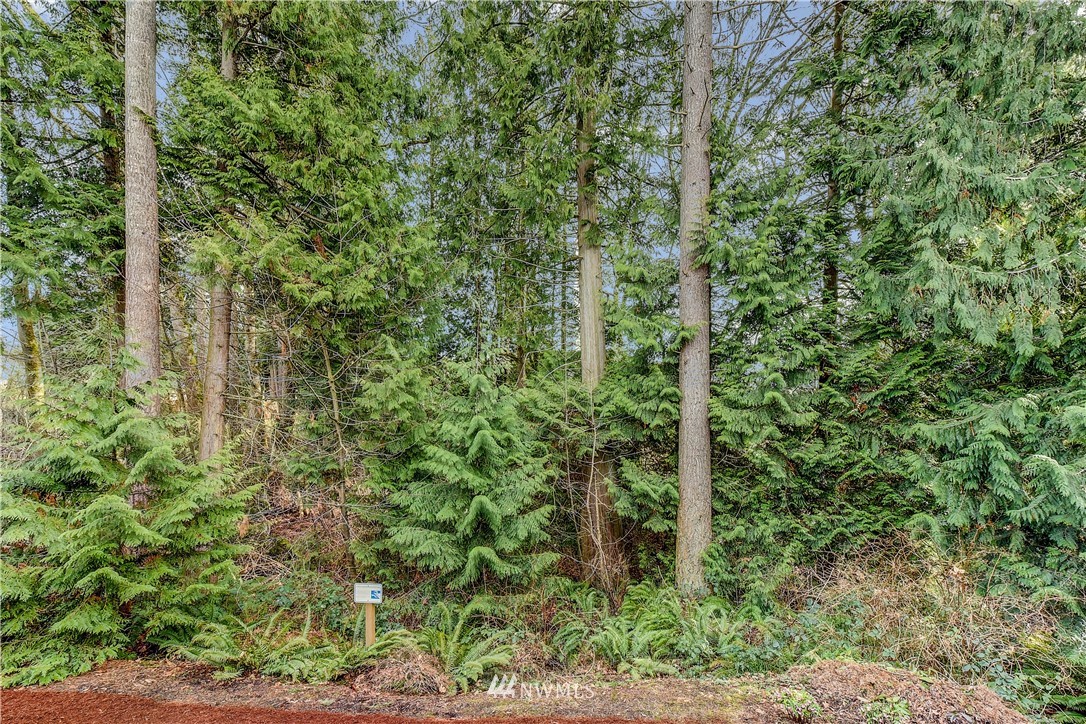 21709 38th Drive Southeast Bothell, WA 98021 - Photo 20 of 31