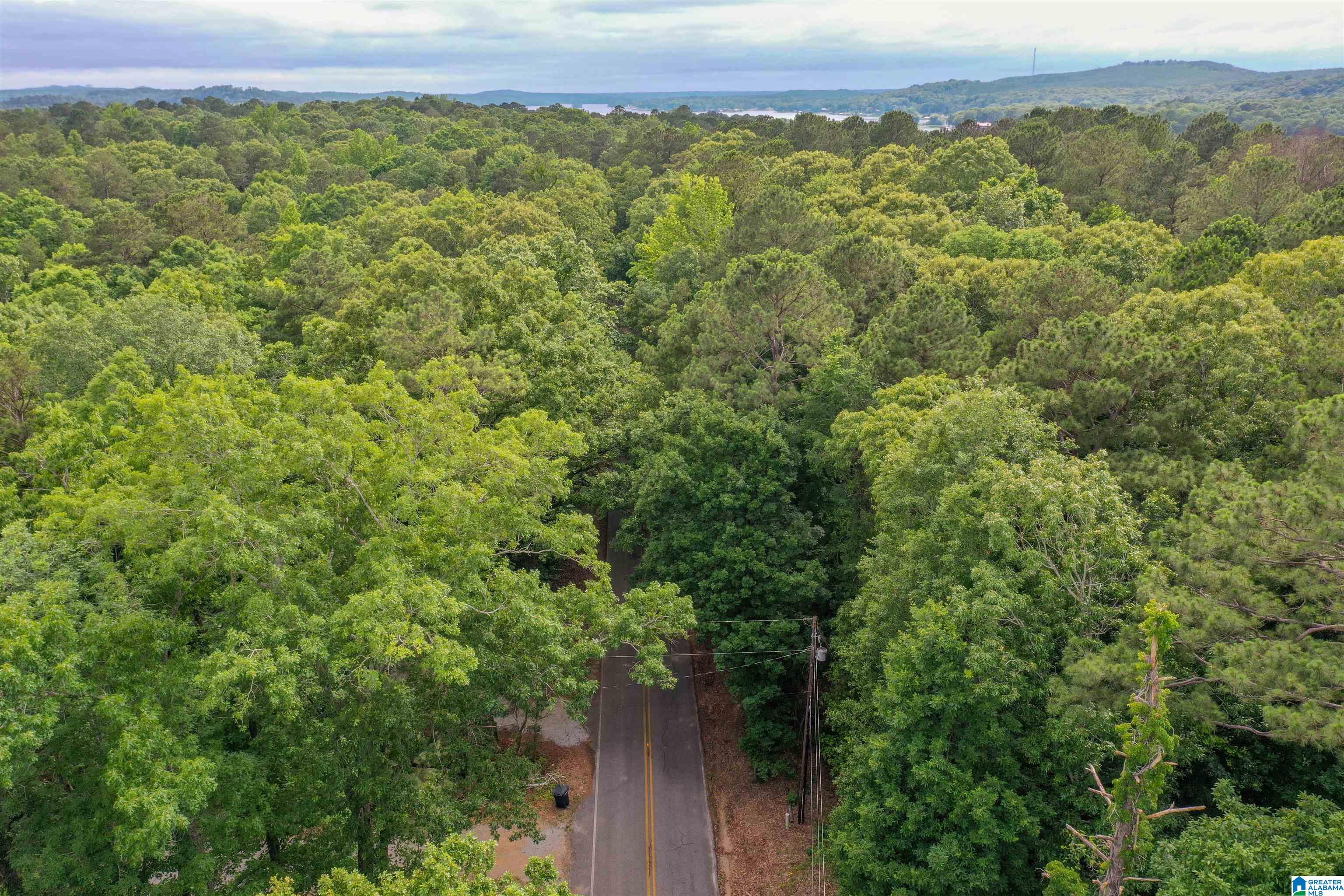 River Drive, Unit 33 Shelby, AL 35143 - Photo 4 of 25