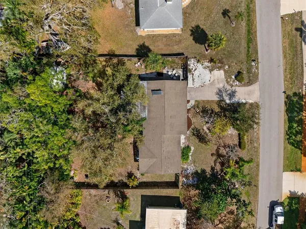 a view of a yard with plants