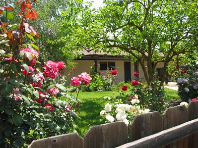 15134 Monreal Road Madera, CA 93636 - Photo 14 of 15 View of back patio area
