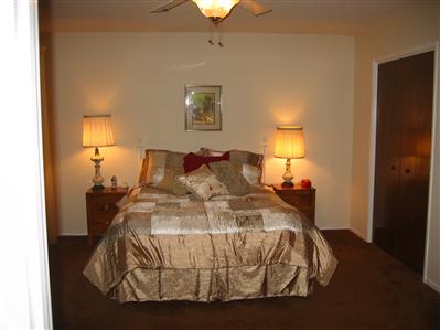 15134 Monreal Road Madera, CA 93636 - Photo 8 of 15 Master Bedroom